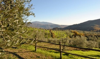 Agriturismo Il Giardino 